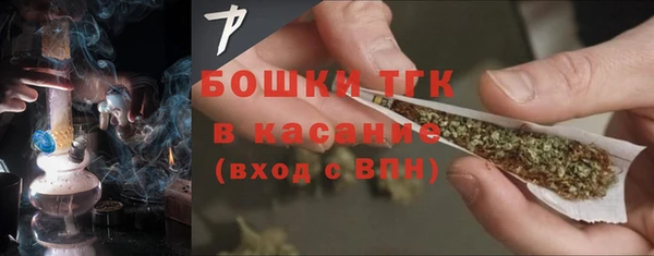 индика Абдулино