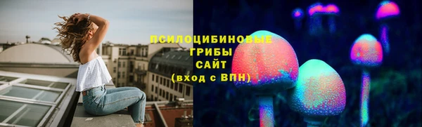 соль ск Няндома