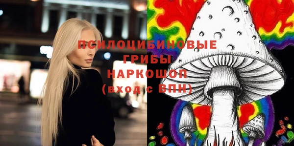индика Абдулино