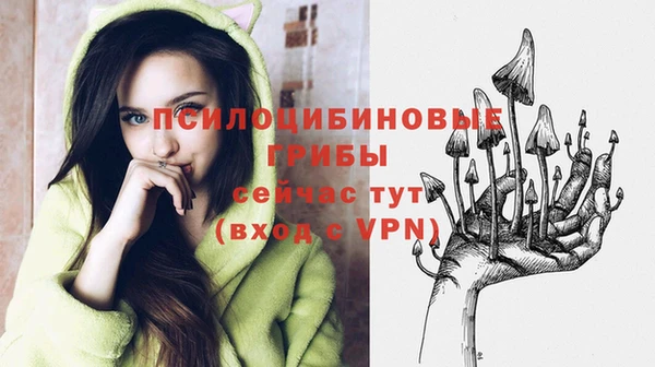 синтетический гашиш Алексеевка