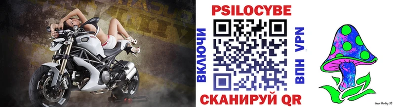 наркотики  Усть-Кут  Псилоцибиновые грибы Psilocybe 